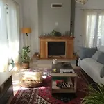 Paulina's House * Politiká