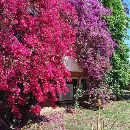 Διαμέρισμα Paulina's House