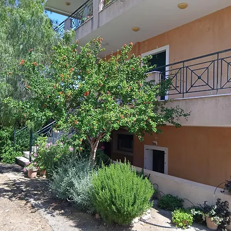 Paulina's House Apartment