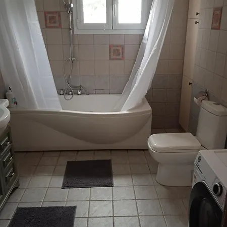 Paulina's House Politika