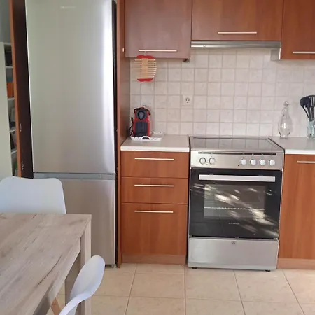 Paulina's House Politika