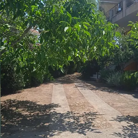 Paulina's House * Πολιτικά