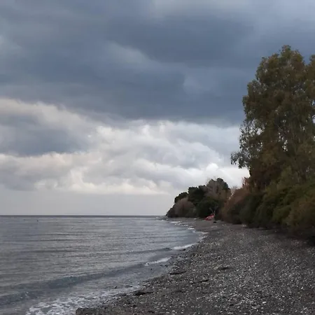 Paulina's House Πολιτικά